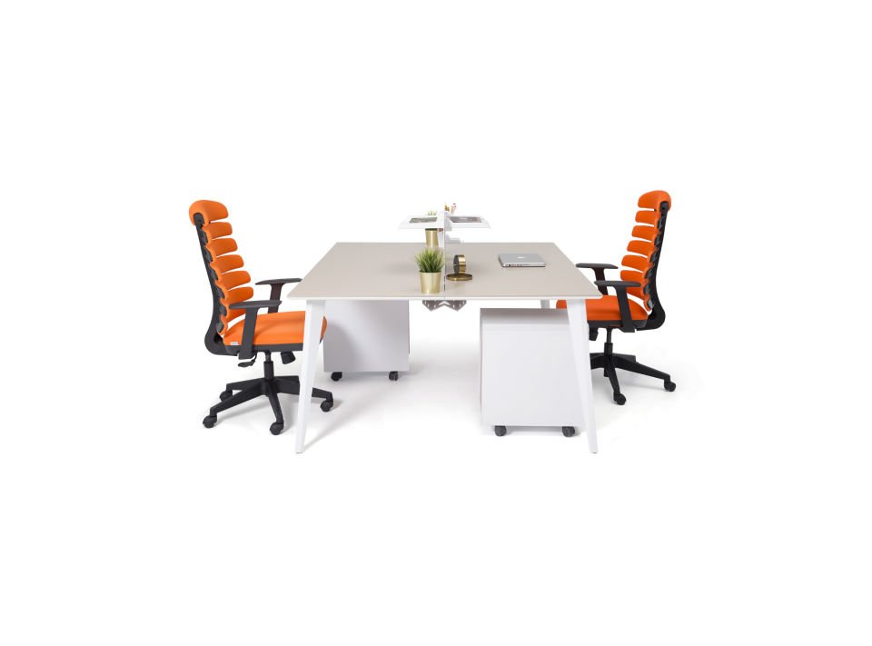 Bürocan Ofis Eco 2P Workstation